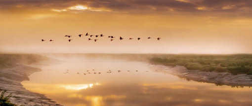 Im Zug der Kraniche – Naturfotografie am Darß